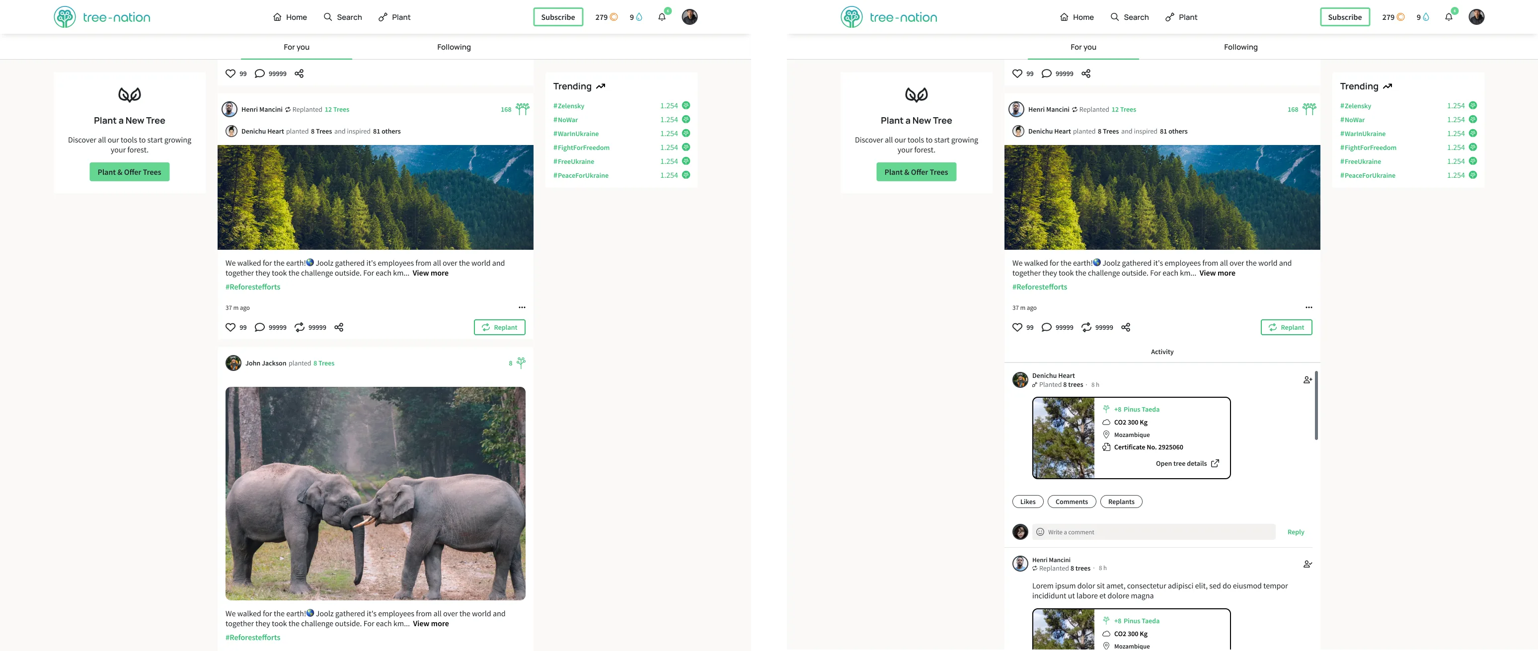 Tree Feed as the default home experience